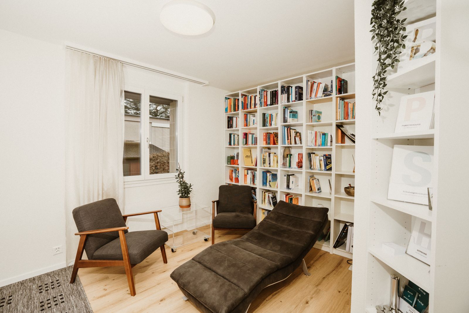 Calm consultation room with armchairs and bookshelves